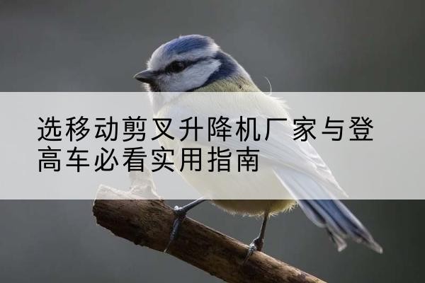 开原电动升降机厂家-选移动剪叉升降机厂家与登高车必看实用指南