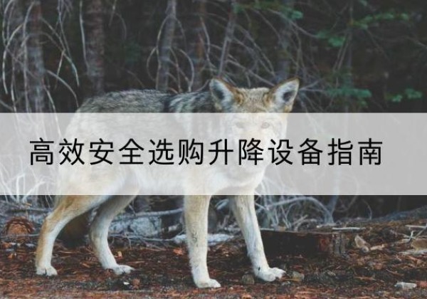 开原升降货梯厂家推荐-*安全选购升降设备指南
